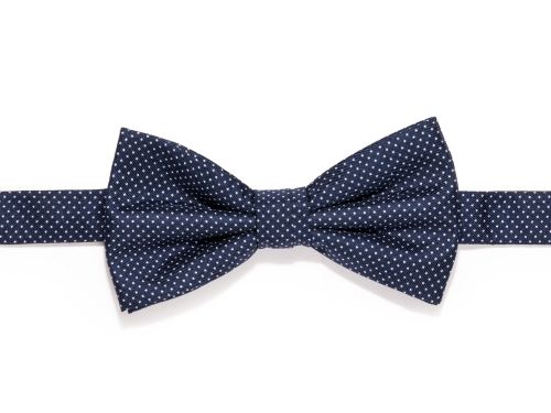 Bow_tie.jpg
